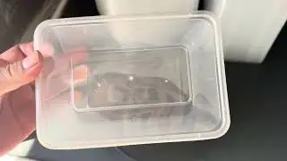1000ml Clear PP plastic takeaway food packaging