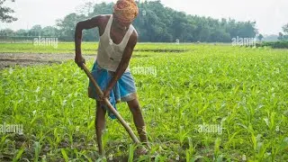 Agriculture | Environment TV 