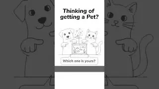 The Best Pets to Have (Psychology Explained)