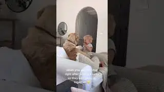 Cutest Baby And Dog Moment Ever 😍 #doglover #babylover