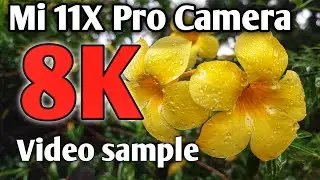 8K video | Mi 11X Pro Video camera test | 8K video upload | Binshah Vlog