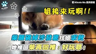 【柴飯碗掉沙發底找姐求救 她推回柴再回推：好玩耶！】｜網友 / Minnie Wu / Sunny Sunny