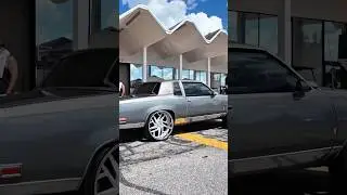 Gbody cutlass на сертифицированном летнем автошоу #eyecandywhipz