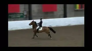 Robert Murphy and Lightning TW Morris Equestrian Centre Under 25 Qualifier jump off 20112022