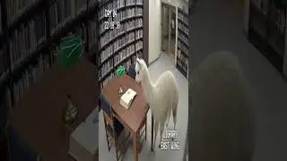 Llama Walks Into a Library&hellip; and Starts Turning Pages 🦙📚 | Calm Chaos Short