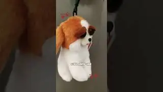 Mini dog feisty pets 😂#youtubeshorts #maquinadepel&uacute;cia #machine #shorts