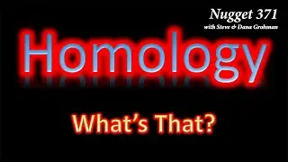 Demystifying Homology: The Key to Understanding Nature