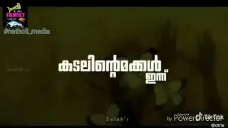 SAVE ALAPPAD