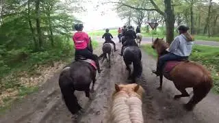 Dagtocht 8 juni