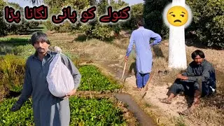Canoly ko pani lagana para 😒