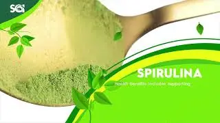 SYNERGREENS UNIQUE FORMULATION