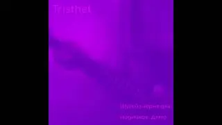 Tristhet - Шугейз херня для модников. Демо (2024) | ЧЗХ Records; 2024
