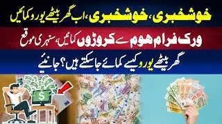 How to earn Euros sitting at home? | Work From Home Se Bari Kamai