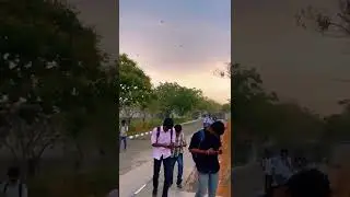 ||Sri Krishna Arts and Science College Coimbatore||#shorts #youtubeshorts #nature #rain