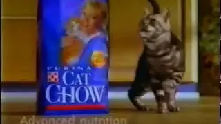 Purina Cat Chow Commercial (1999)