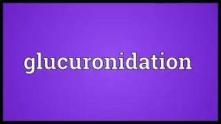 Glucuronidation Meaning