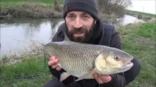 HUGE CHUB on the float - March 2024