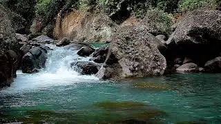 Peaceful River Sound for Deep Sleep | Natural Therapy for Better Wellness and Health