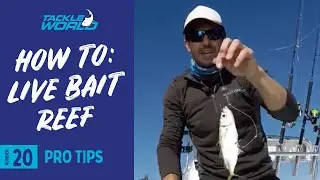 How To Master Reef Fishing with Live Bait
