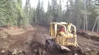 Cat D8 14a 