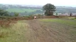 evsy flat out ktm 125 goon