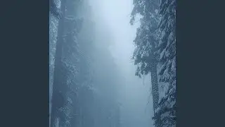Quiet Like the Snow