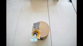 Dogo BoomWood Natural Speaker