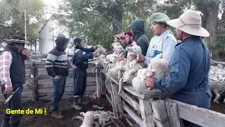 La señalada Full HD  trabajos en estancia Don Jose y Puesto Lindo Paraje