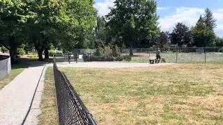 Fairfield Island Off Leash Dog Park July 30
