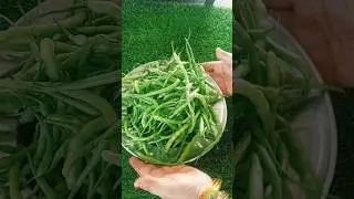 mutton sangri (radish pods) recipe| mutton and radish pods curry recipe