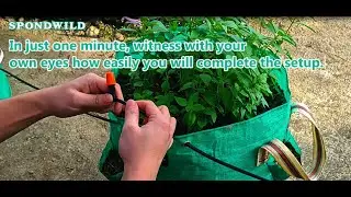 Drip Irrigation Hose System Installation Video