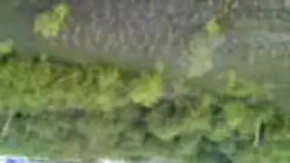 MOV0009A