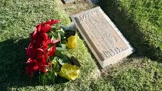 Actor Timothy Patrick Murphy Grave Poinsettias Hollywood Hills Los Angeles California US Jan 2, 2025