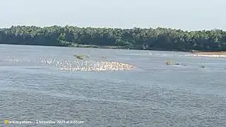 Kadalundi Bird SanctuaryKerala bird watchingGuruvayoor travel 2025