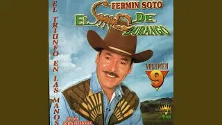 Sarinana, Fierro Y Soria