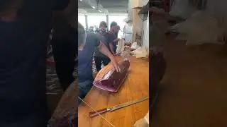 Taiwan&rsquo;s Lively Tuna Market&mdash;Watch the Action Unfold! 🐟💥⚓ #MarketLife #TunaShowtime