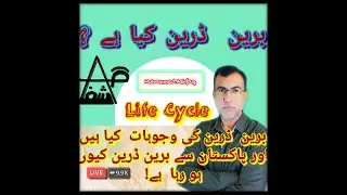 Why Brain Drain Happening In Pakistan , Visionary States  Bring Intelligent People There Countries.