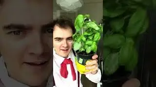 ВОТ ЭТО ДА 😳 Лайфхак, где спрятать вэйп?