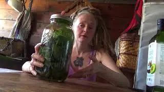 How to make infused Comfrey oil!