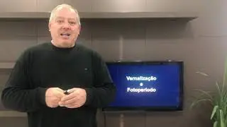 A Cultura do Alho - Prof Miguel