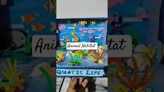 Animal Habitat Project | Aquatic Life Model | Animal Habitat 3D Model #schoolprojectwork