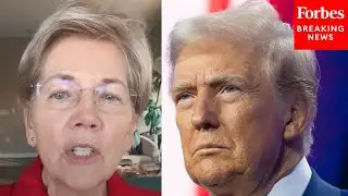 'Democrats Need To Be More Than The Anti-Trump Party': Warren Calls For Dems To Amend Messaging