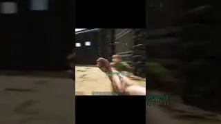 Fisticuffs!! Ark Survival Evolved