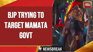 BJP Diverted Focus From Smoking Kaali Poster To Mahua Moitra's Comments, Says TMC's Saket Gokhale
