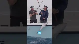 В поисках признаков жизни!