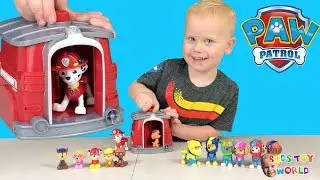 Paw Patrol Marshall Pup to Hero Magic Pup House Chase Sky Super Pup Surprise Playset
