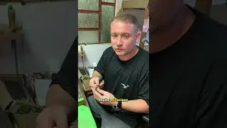 🎵 O que &eacute; uma afina&ccedil;&atilde;o de acorde&atilde;o? Muita gente acha que &eacute; s&oacute; &ldquo;acertar o som&rdquo;, mas vai muito al&eacute;m...