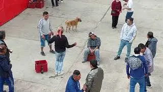 HUANCADANZA HUAROCHIRANO,Matucana