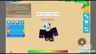 bgs inventory