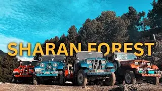 SHARAN FOREST | PAKISTAN&rsquo;S🇵🇰 ONLY PRESERVED FOREST🌲 | Haziq Hussain Official
